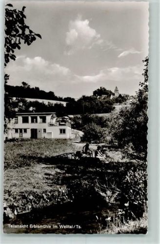 Erbismühle