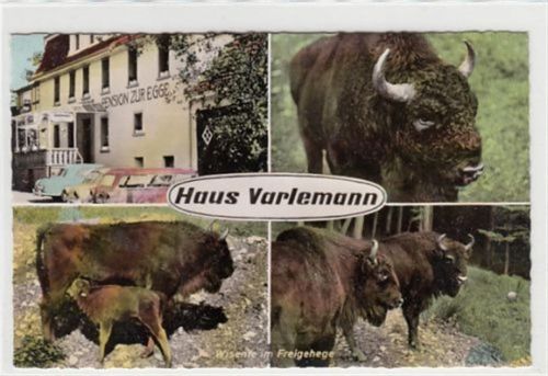 Hardehausen. Gast- und Pensionshaus zur Egge ungelaufen Leicht bügig, sonst gut erhalten