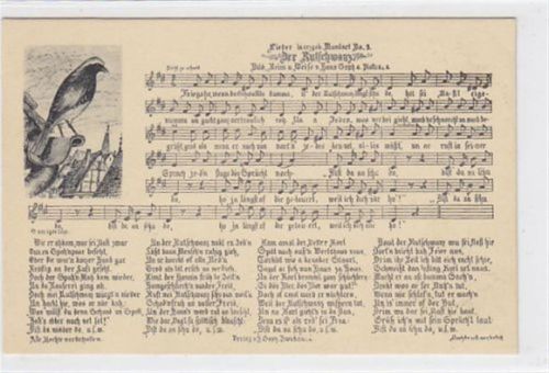 Der Rutschwanz mit Vogel, Text und Noten ungelaufen Top Erhaltung.