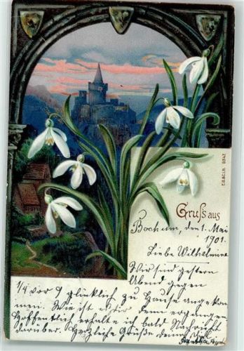 1901 Gruss aus Blick durch ein Torbogen , Blumen AK