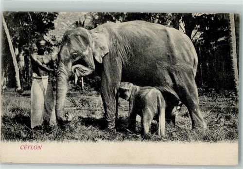 Colombo und ein Junges Volkstypen AK