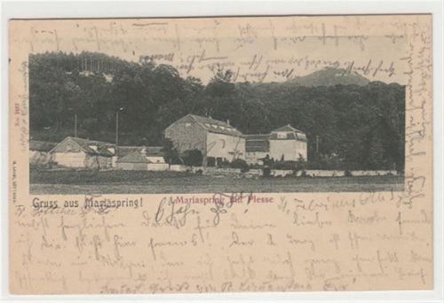 Mariaspring mit Plesse gelaufen, 1900. Gute Erhaltung.
