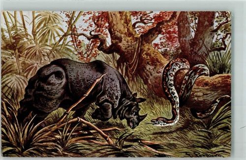 Rhinozeros und Schlange sign. Perlberg AK Nashorn Künstlerkarte