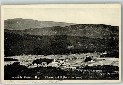94145 W8391 Haidmühle , Niederbay - Bayr.-Böhmer Hochwald und A. Stifters-Hochwald