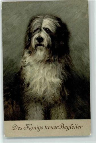 1917 Des Königs treuer Begleiter English Sheepdog Künstlerkarte AK