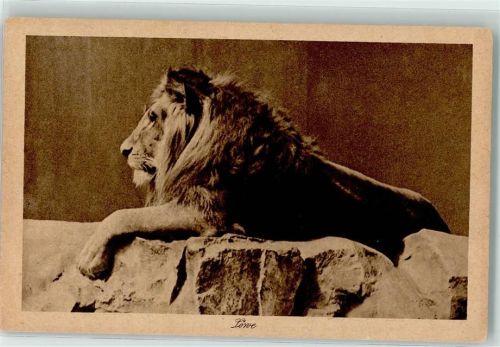 Zoo Berlin