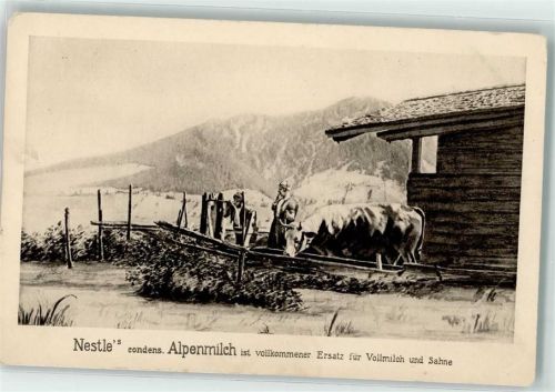 Nestle Milch Almhütte mit Kühe AK