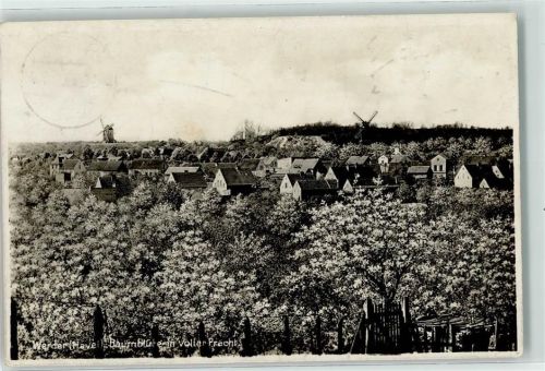 Werder Baumblüte Windmühlen