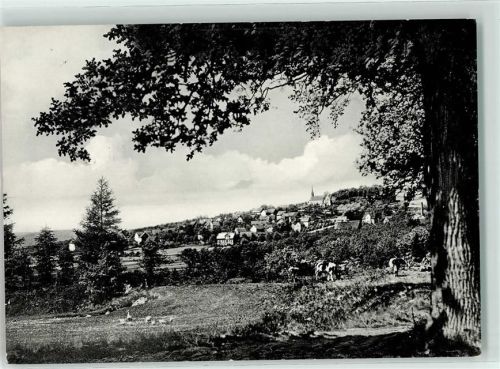 Osterwald Gasthaus Zum Fichtenwirt Bes. Hermann Brand Hühner Kuh Windmühle