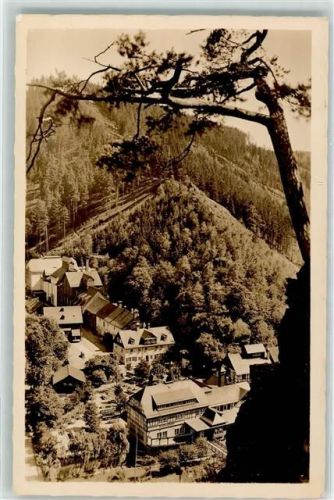 Ludwigsstadt Hotel u. Brauerei Gasthaus Falkenstein