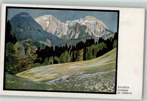 Nr. 87? sign. Bauriedl Sommer im Gebirge AK
