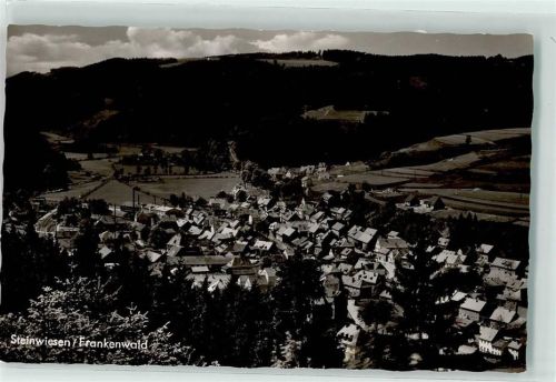 Steinwiesen