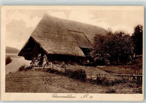 Schwarzwaldhaus Nr. 15 AK
