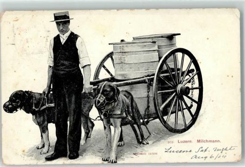 Luzern Lucerne Milchmann Hundekarren 1904