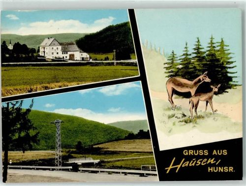 Hausen Gasthaus Pension zur schönen Au Reh