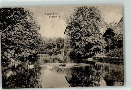 Northeim 1916 Feuerteich Schwäne