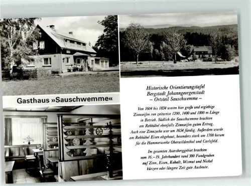 Johanngeorgenstadt Gasthaus Sauschwemme