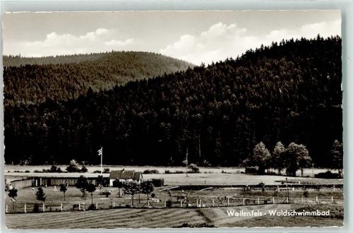 Wallenfels Hotel Wirtshannla Waldschwimmbad