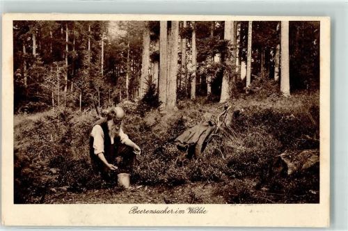 Beerensucher im Walde - Idylle Nr. 53 AK