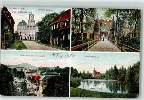 Bad Salzbrunn 1910 Fürstenstein Schlosseingang Alte Burg Eingang Elisenhalle mit Hochwald Schwedenteich Schwan
