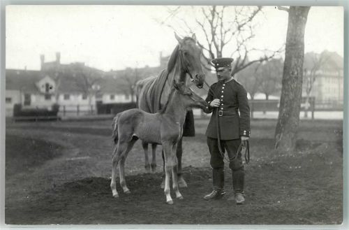 WK I Soldat mit Pferd und Pfohlen - Kavallerie?