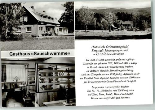 Johanngeorgenstadt Gasthaus Sauschwemme