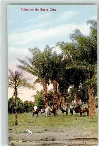 Santa Cruz Palmeras