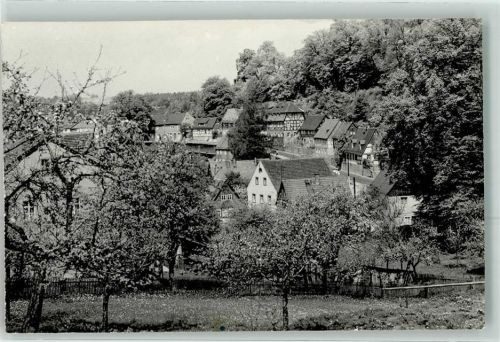 01848 O8352 Hohnstein Foto AK Baumblüte