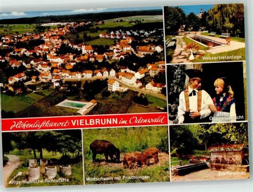 Vielbrunn Wassertretanlage Altagermanische Richstätte Wildschwein mit Frischlingen Odenwaldtracht