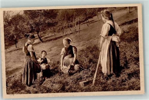 Heuernte Kinder Verlag Eichlepp Nr.111 Volksleben Schwarzwald
