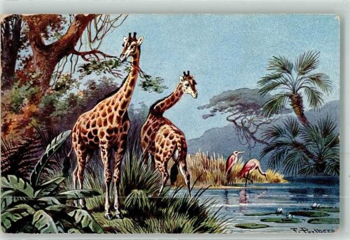 Giraffen Reiher CA Serie 682 Fauna II Nr.4
