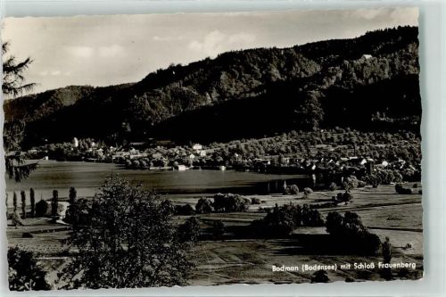 Bodman Schloß Frauenberg