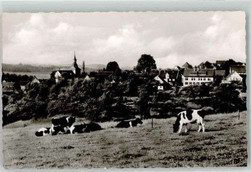 Dhünn Rinderweide