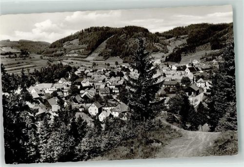 Steinwiesen