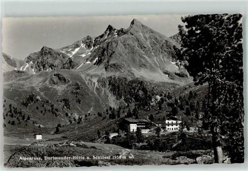 Kühtai Alpenrose Dortmunderhütte u. Schlössl