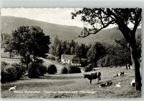 Waltersdorf OT. Neue Sorge Gasthaus Neu Sorge