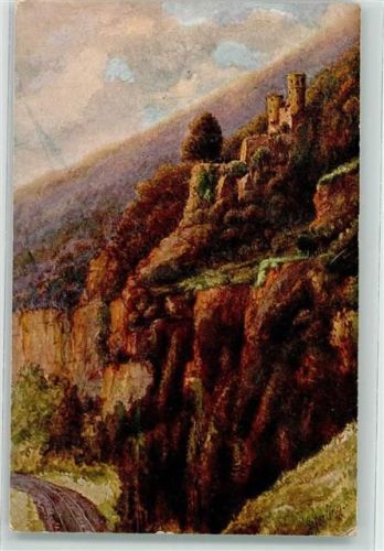 Neckarsteinach Schwalbennest Nr. 2700