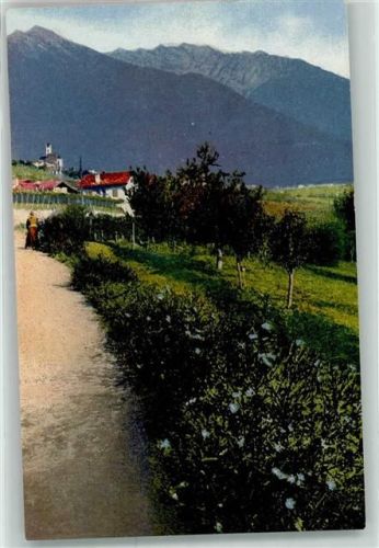 Arznei Pflanzen Folge VII Cichorium Intibus L. Wegwart Zichorie