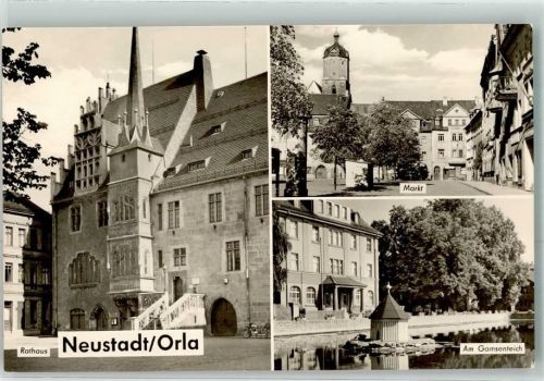 Neustadt Rathaus Markt Am Gamsenteich