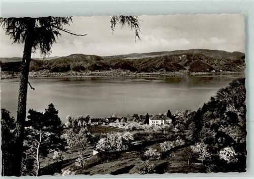 Bodman Blick auf Schule und See