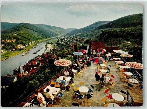 Hirschhorn Burgterrasse mit Neckartal