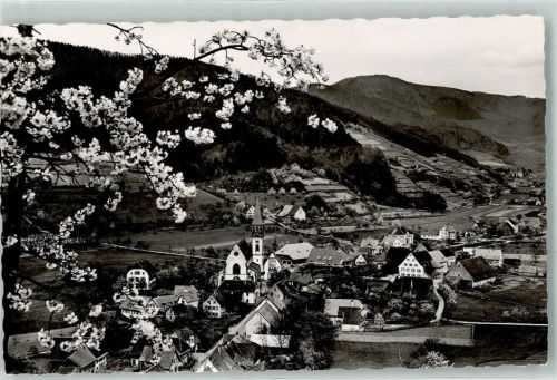 Glottertal Baumblüte