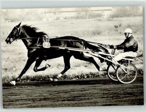 Karlshorst 1973 Trabrennbahn Internationaler Sieger H. Teurich