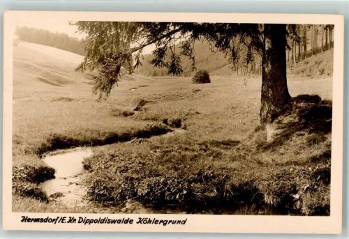 Hermsdorf Köhlergrund