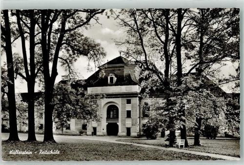Wallerstein Reitschule Baumblüte