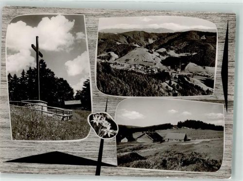 Wengen Alpe Wenger Egg Denkmal Raker Horn