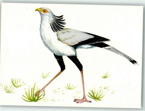 Sekretär proj. graf. Alojzy Balcerzak