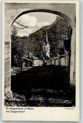 Biber Foto Birkmeyer St. Magdalena Kirche