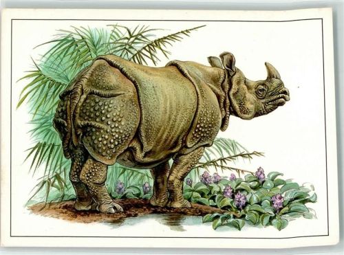 Panzernashorn sign. Reiner Zieger