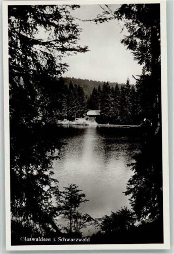 77776 W7624 Schapbach Foto AK Glaswaldsee